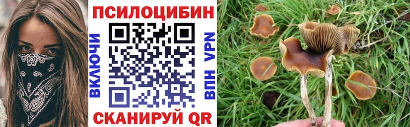 где купить   Данилов  Галлюциногенные грибы MAGIC MUSHROOMS 